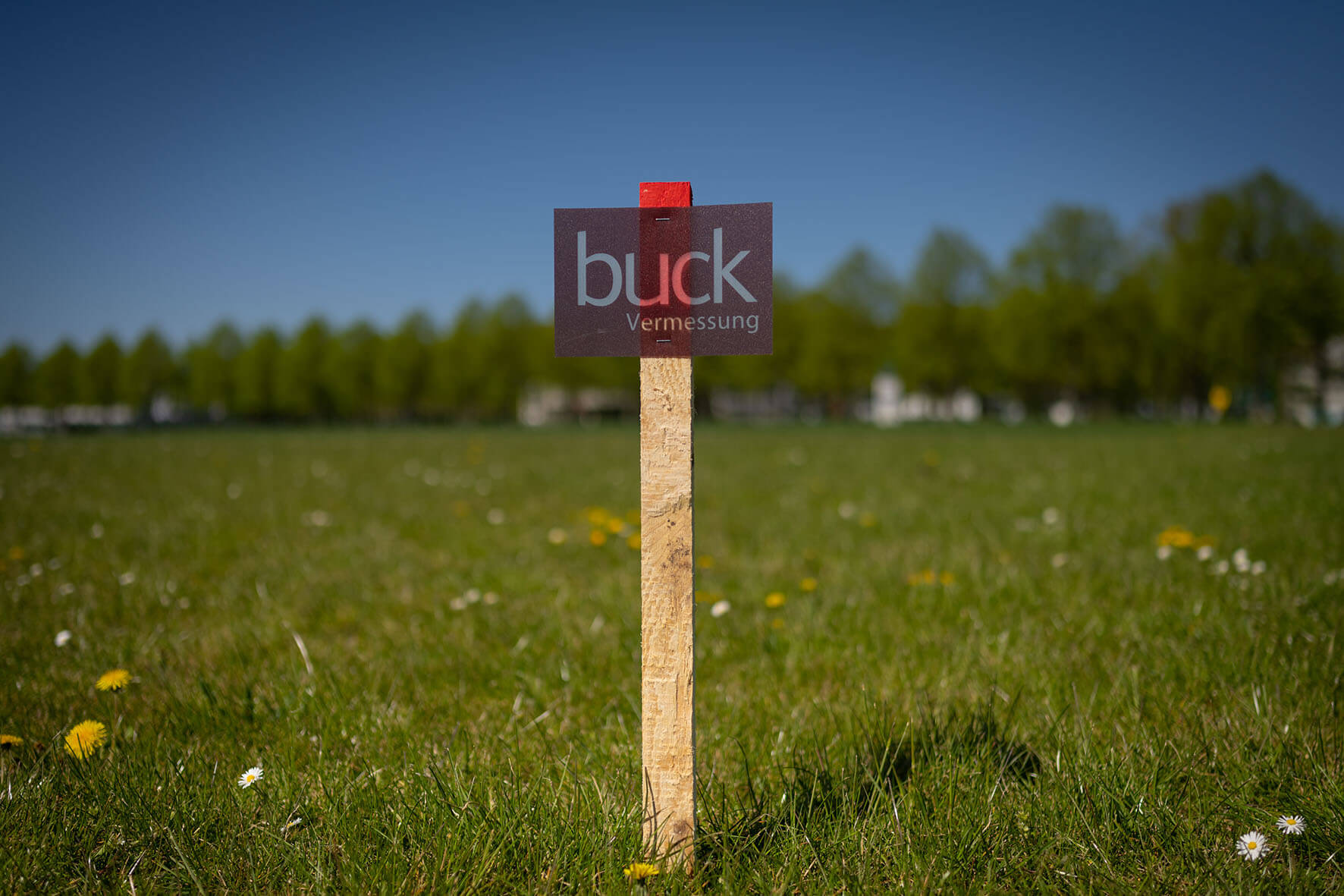 grenzanzeige, buck vermessung, buck fähnchen