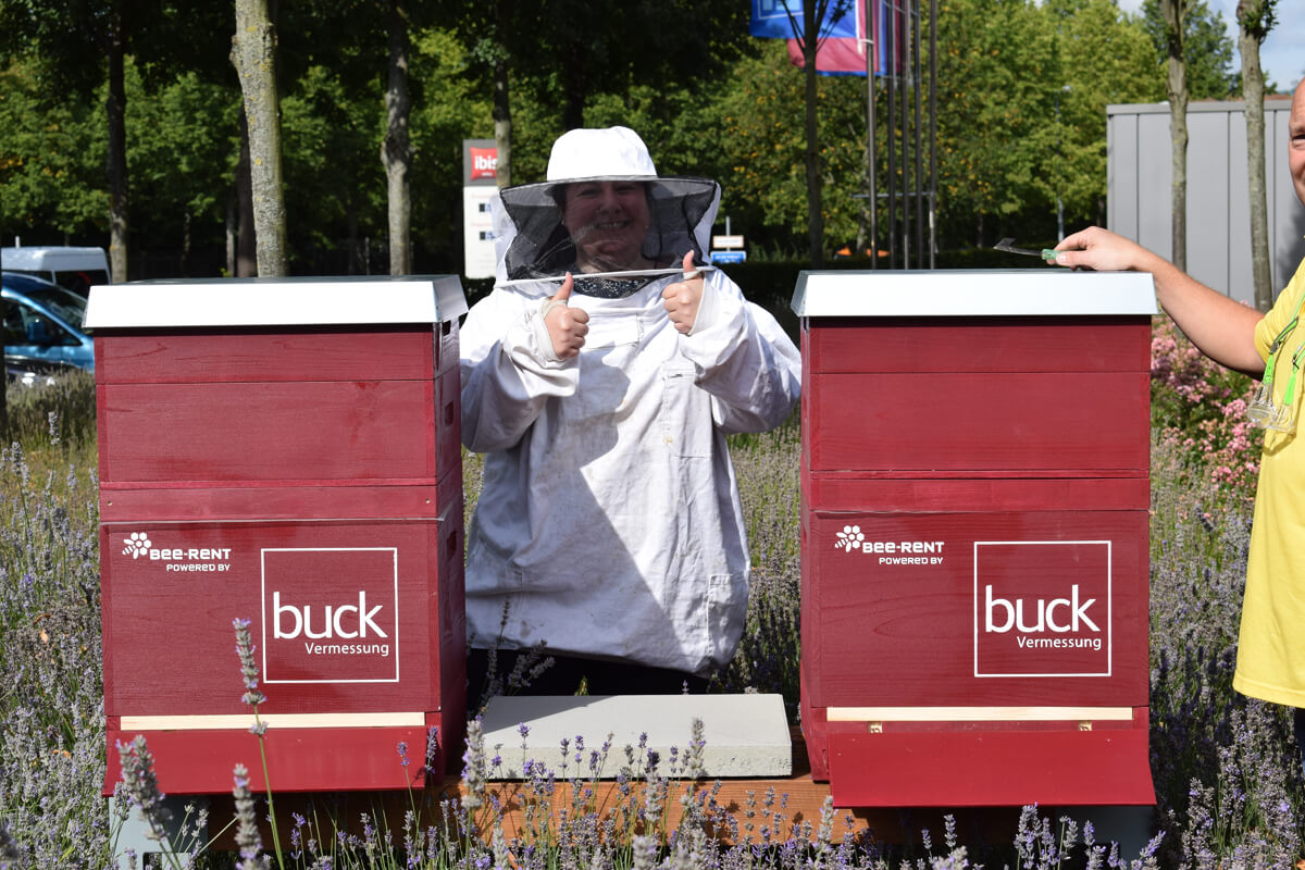 buck Bienen, bee-rent