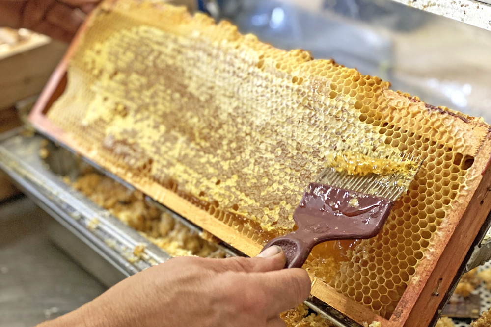 buck bienen, vermessungsbüro, gerd itzenhäuser, bee rent, honig