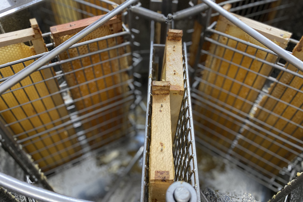 buck bienen, vermessungsbüro, gerd itzenhäuser, bee rent, honig